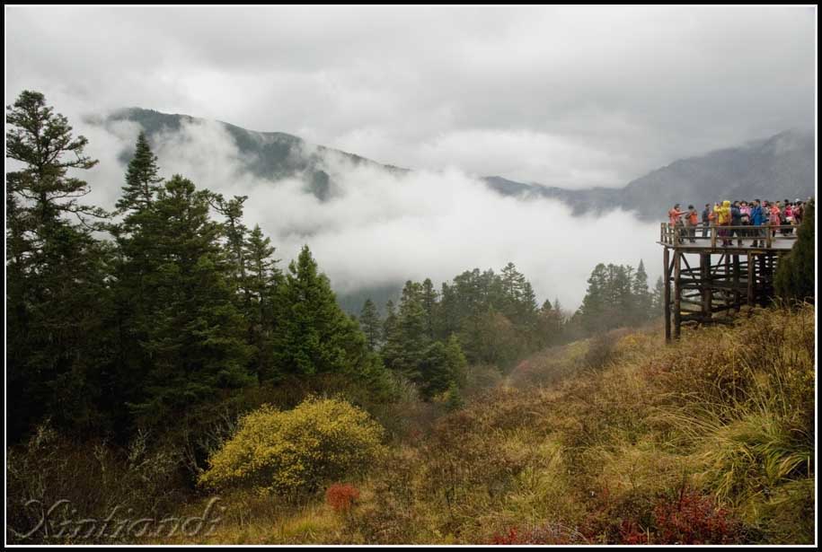 DSC_3080.jpg