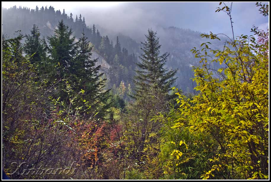 DSC_2741.jpg