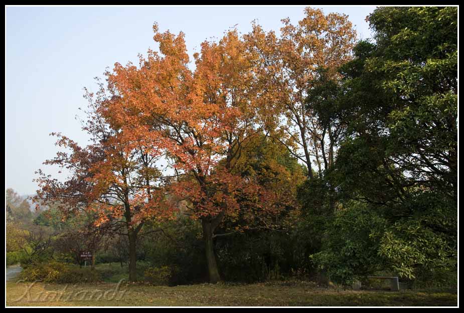DSC_6569.jpg
