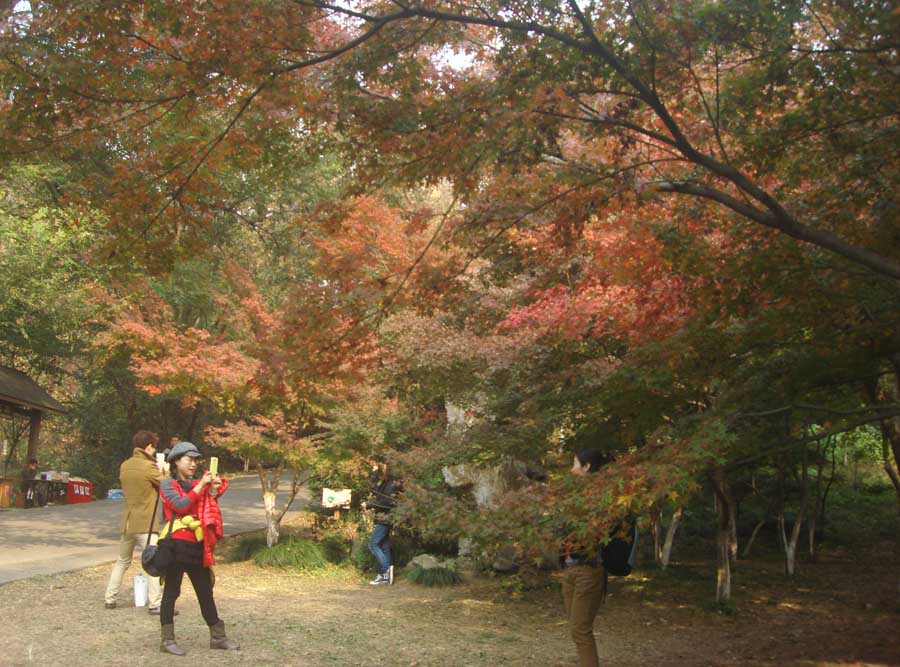 DSC06124.JPG