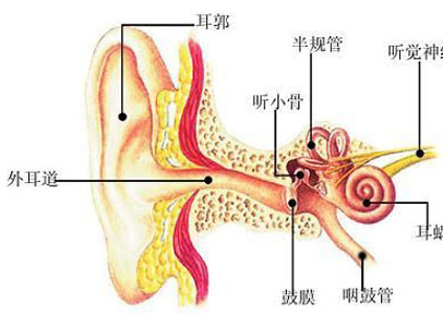 2011413142219455.jpg