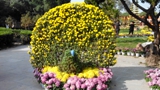 IMG_20141025_140442.jpg