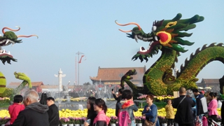 IMG_20141025_085041.jpg