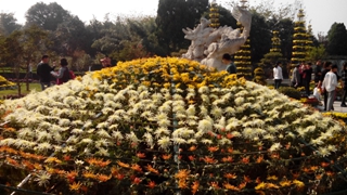 IMG_20141025_140241.jpg