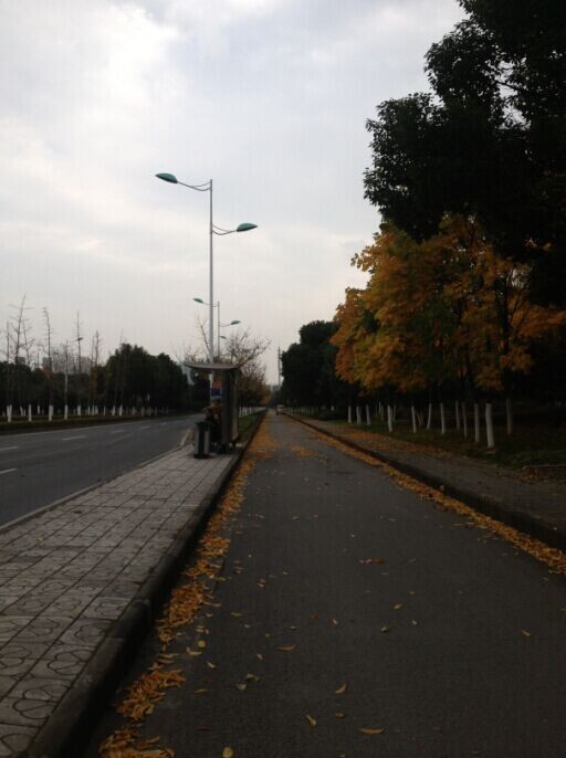 QQͼƬ20141204002331.jpg