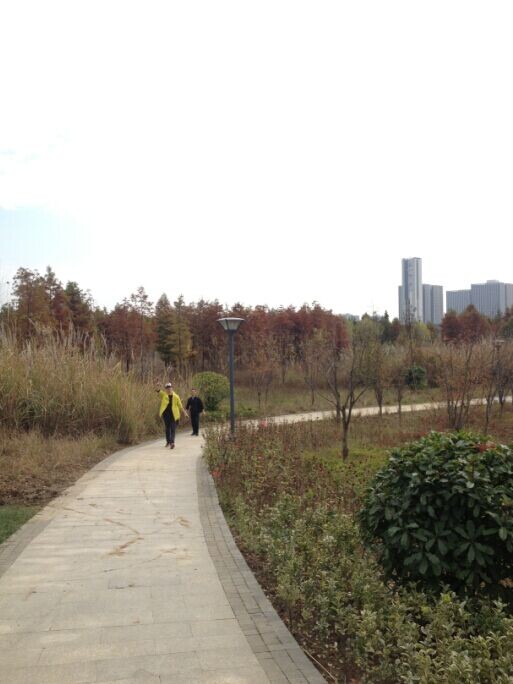 QQͼƬ20141204002419.jpg