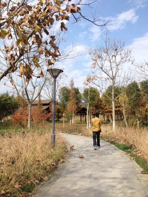 QQͼƬ20141204002435.jpg
