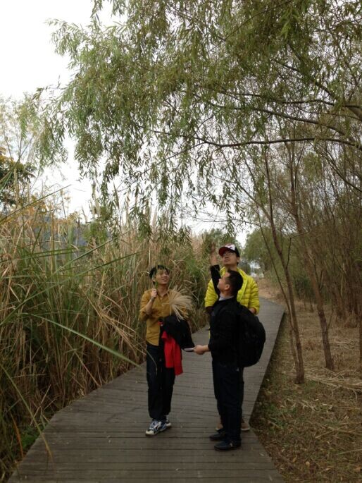 QQͼƬ20141204003302.jpg